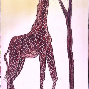 (nyambizi)wildlife and sunset